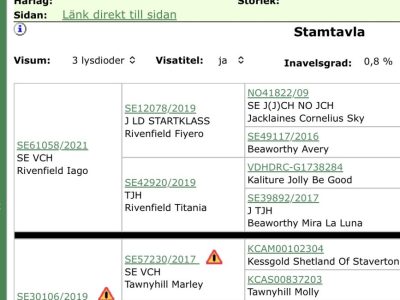 Screenshot Screenshot