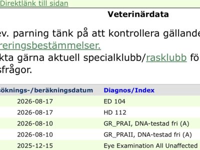 Screenshot Screenshot